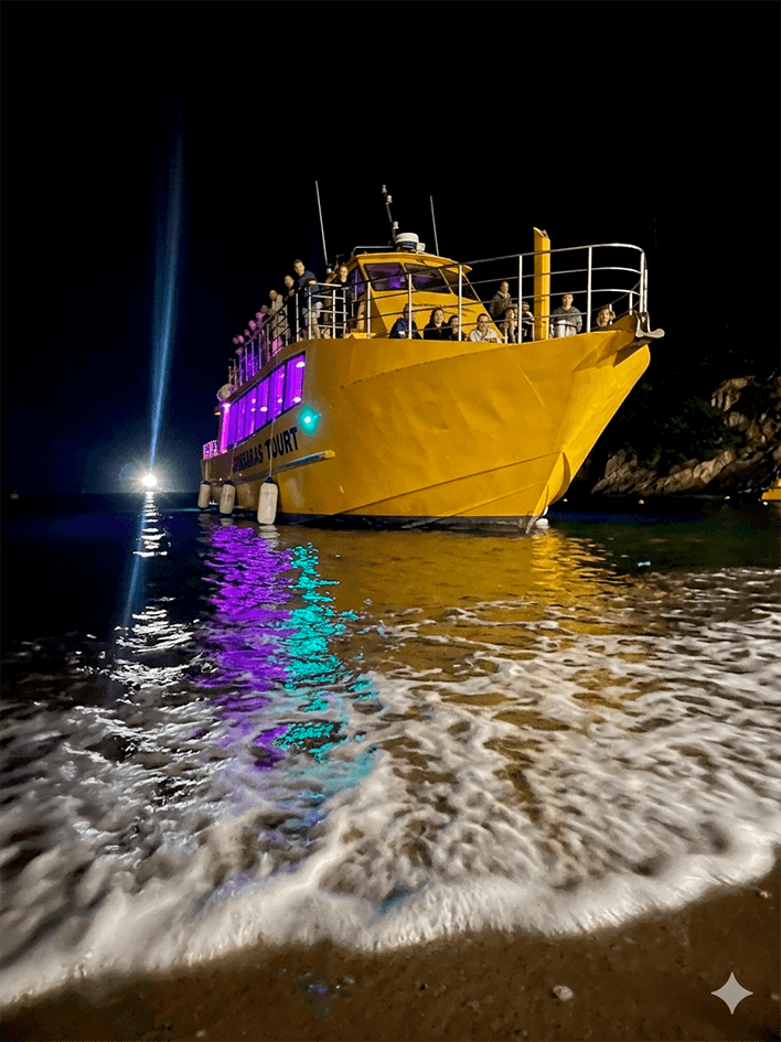 Bahía de Santa Marta de noche